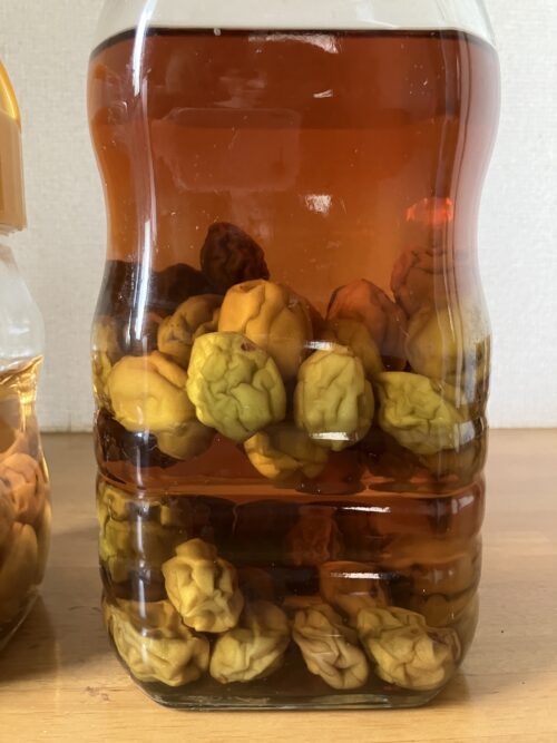 ブランデー梅酒